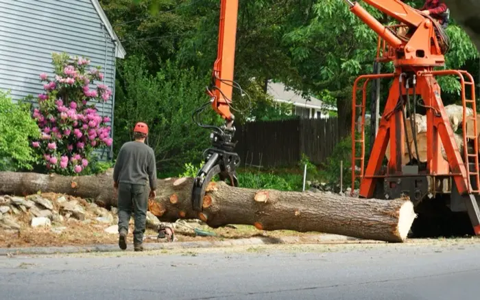 Crew removing a trunk section with a grapple crane near a home