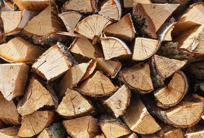 Stack of freshly split firewood