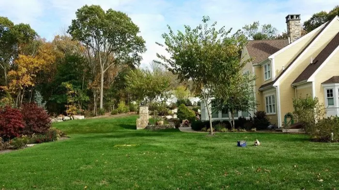 Beautifully manicured landscaped yard