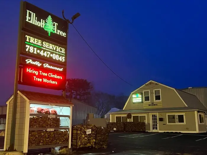Elliott Tree Service illuminated sign and firewood yard in Whitman, MA